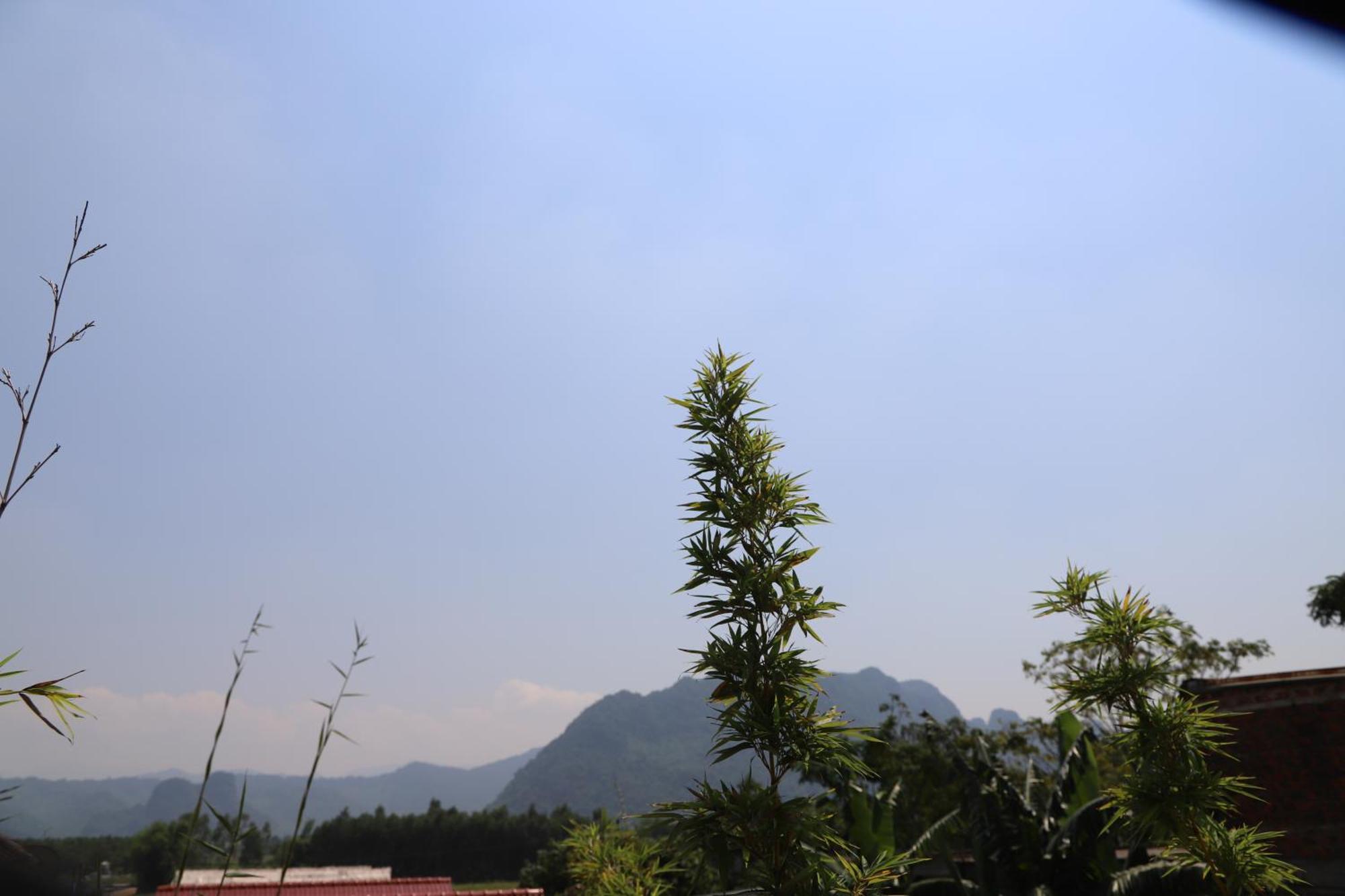 Phong Nha Friendly Home Kültér fotó